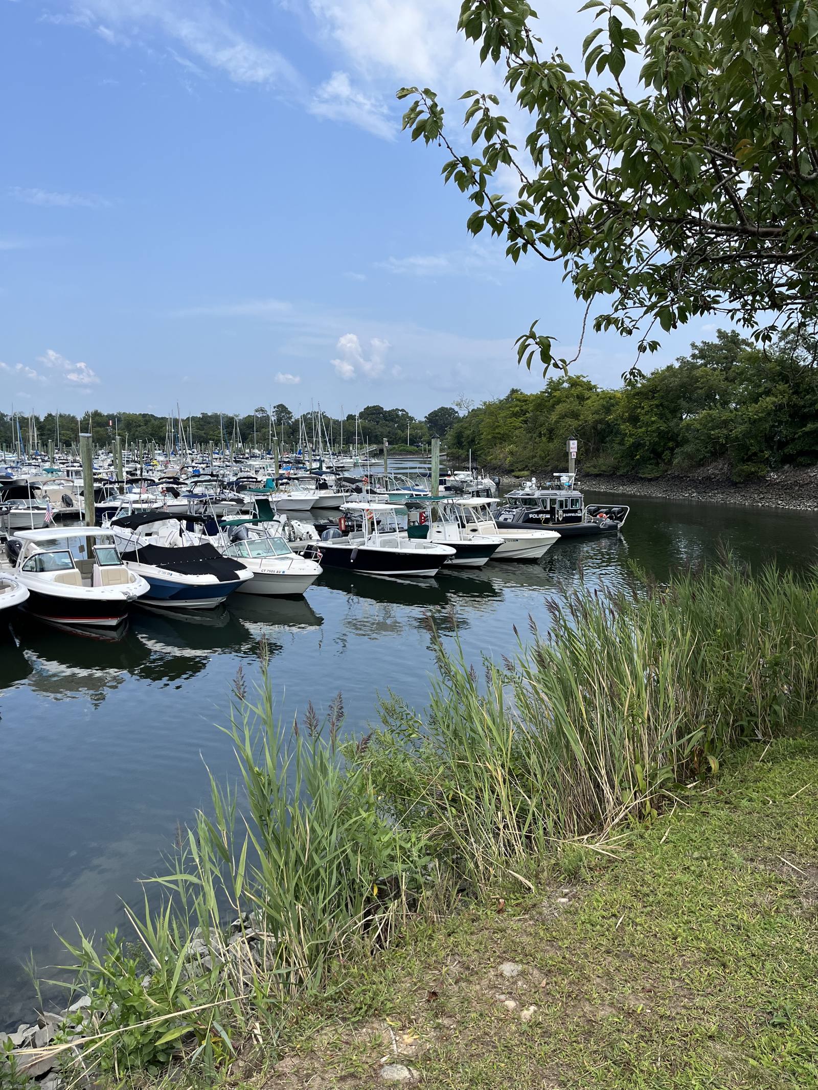 Boats moored at a marina in Fairfield, Connecticut on Long Island Sound